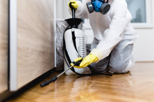 Best Commercial Pest Control Services  in Adamstown, PA