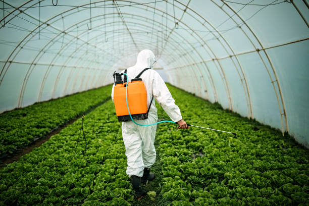 Pest Control for Restaurants in Adamstown, PA