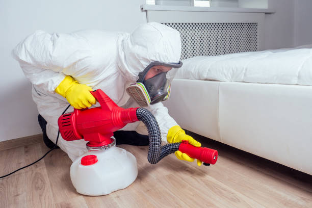 Best Local Pest Control Services  in Adamstown, PA