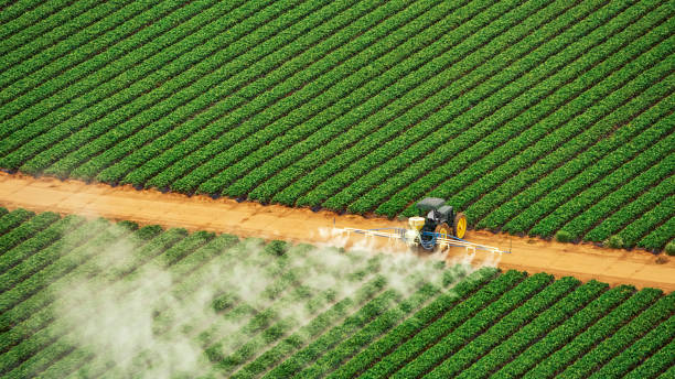 Best Mosquito Control Services  in Adamstown, PA