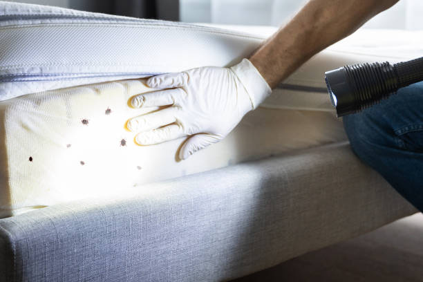 Best Residential Pest Control  in Adamstown, PA